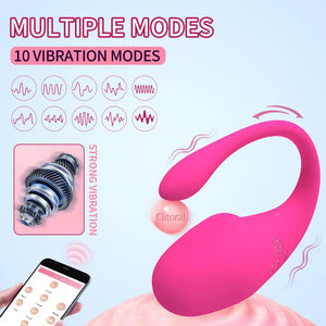 App Remote Control 10 Frequency Strong Shock Panty Vibrator