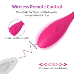 Levett Mignon Wireless APP Control G-Spot Vibrator Kegel Ball-ZhenDuo Sex Shop