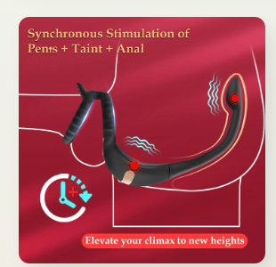 Enhance Your Pleasure with the Vibrating Cock Ring &amp; Taint Stimulator!