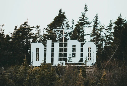 Anal Dildos: Everything You Need To Know 1