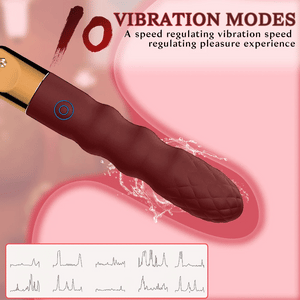 Bdsm Vibrating Anal Beads & Leather Whip