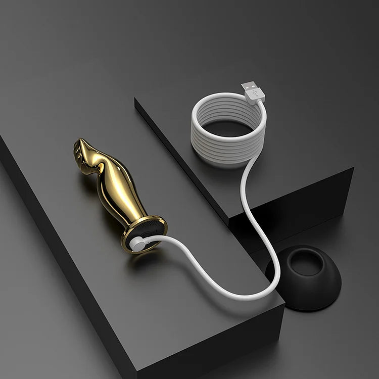 Sevanda Wireless Remote Control Vibrating Metal Prostate Massager ZhenDuo Sex Shop Sevanda Wireless Remote Control Vibrating Metal Prostate Massager ZhenDuo Sex Shop