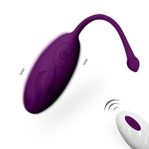 Remote Control G-Spot Simulator Egg Vibrator-ZhenDuo Sex Shop