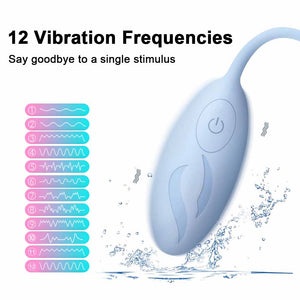 Remote Control G-Spot Simulator Egg Vibrator-ZhenDuo Sex Shop