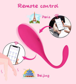 Levett Mignon Wireless APP Control G-Spot Vibrator Kegel Ball-ZhenDuo Sex Shop