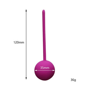 Ben Wa Ball Vagina Tighten Kegel Exerciser-ZhenDuo Sex Shop