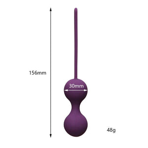 Ben Wa Ball Vagina Tighten Kegel Exerciser-ZhenDuo Sex Shop