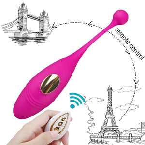 Remote Control Vibrator G Spot Clitoris Sex toy for Women-ZhenDuo Sex Shop